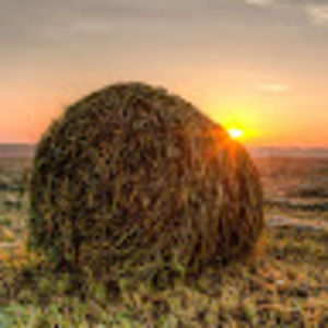 Meet your Posher, Kiandra